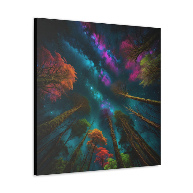 Looking Into The Universe Classic Canvas