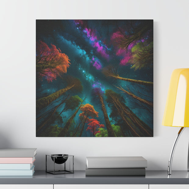 Looking Into The Universe Classic Canvas