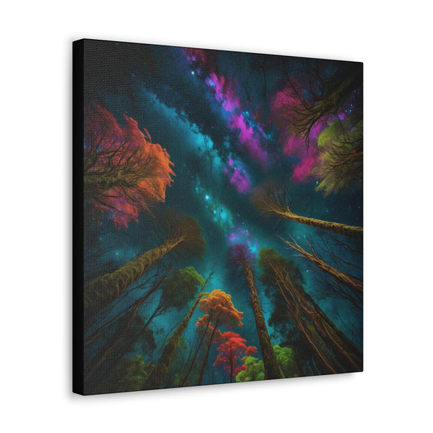 Looking Into The Universe Classic Canvas