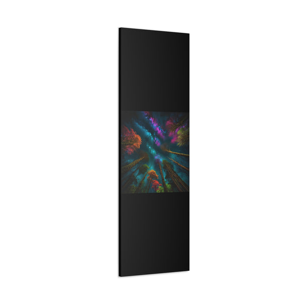 Looking Into The Universe Classic Canvas