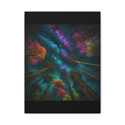 Looking Into The Universe Classic Canvas