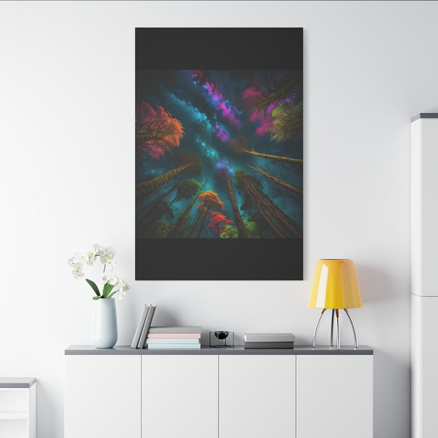 Looking Into The Universe Classic Canvas