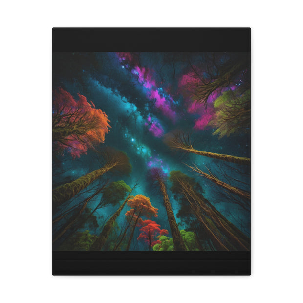 Looking Into The Universe Classic Canvas
