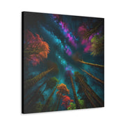 Looking Into The Universe Classic Canvas