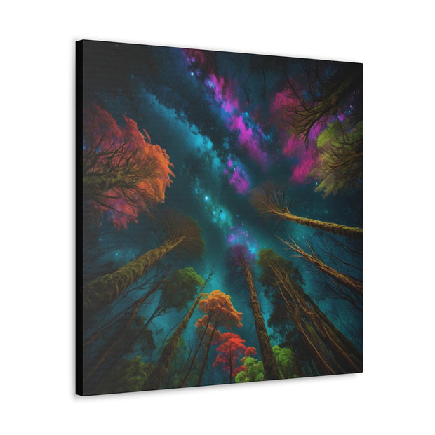 Looking Into The Universe Classic Canvas