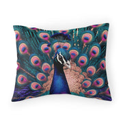 Beautiful Colorful Peacock Pillow Sham