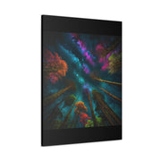 Looking Into The Universe Classic Canvas
