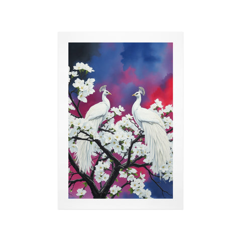 Stunning White Peacocks Red and Blue Sky Print