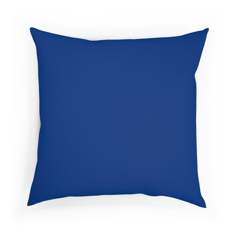 Colorful Peacock Cushion