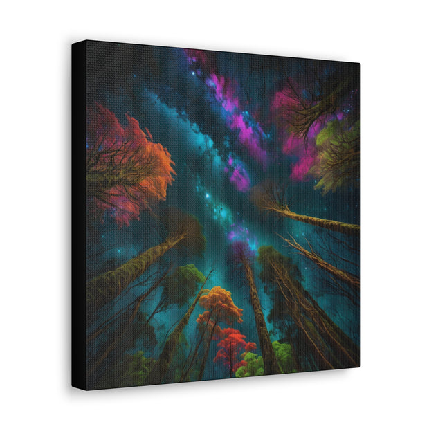 Looking Into The Universe Classic Canvas