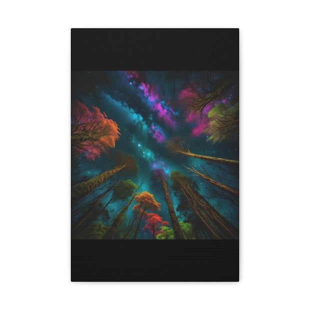 Looking Into The Universe Classic Canvas