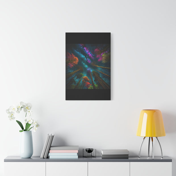 Looking Into The Universe Classic Canvas