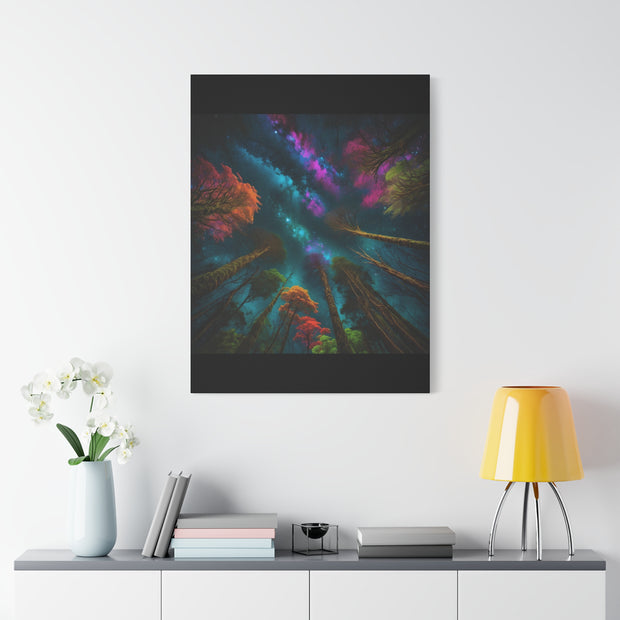 Looking Into The Universe Classic Canvas