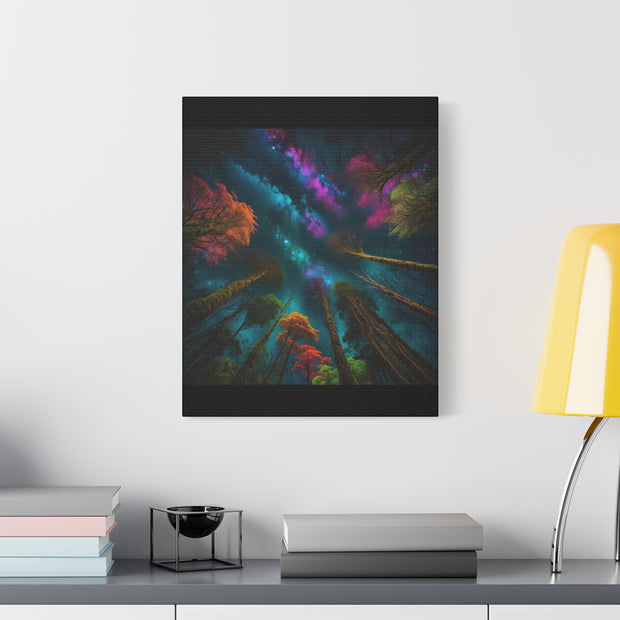 Looking Into The Universe Classic Canvas