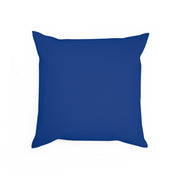 Colorful Peacock Cushion